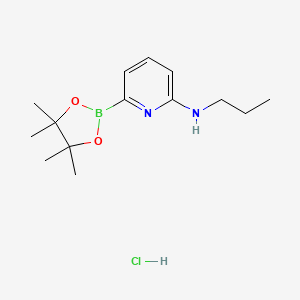 molecular formula C14H24BClN2O2 B7956647 N-Propyl-6-(tetramethyl-1,3,2-dioxaborolan-2-yl)pyridin-2-amine hydrochloride 