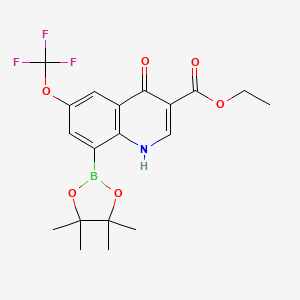 molecular formula C19H21BF3NO6 B7956653 Ethyl 4-hydroxy-8-(tetramethyl-1,3,2-dioxaborolan-2-yl)-6-(trifluoromethoxy)quinoline-3-carboxylate 