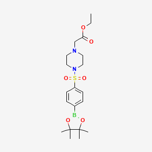 molecular formula C20H31BN2O6S B7956835 Ethyl 2-(4-{[4-(tetramethyl-1,3,2-dioxaborolan-2-yl)benzene]sulfonyl}piperazin-1-yl)acetate 