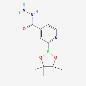 molecular formula C12H18BN3O3 B7956926 2-(Tetramethyl-1,3,2-dioxaborolan-2-yl)pyridine-4-carbohydrazide 