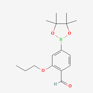 molecular formula C16H23BO4 B7957005 2-Propoxy-4-(tetramethyl-1,3,2-dioxaborolan-2-yl)benzaldehyde 