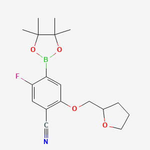 molecular formula C18H23BFNO4 B7957110 5-Fluoro-2-(oxolan-2-ylmethoxy)-4-(tetramethyl-1,3,2-dioxaborolan-2-YL)benzonitrile 