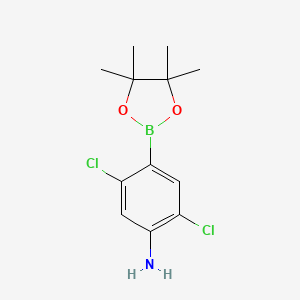 2,5-Dichloro-4-(tetramethyl-1,3,2-dioxaborolan-2-yl)aniline