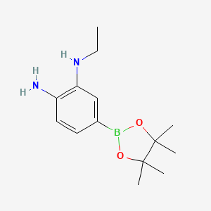 molecular formula C14H23BN2O2 B7957322 1-N-Ethyl-5-(tetramethyl-1,3,2-dioxaborolan-2-yl)benzene-1,2-diamine 