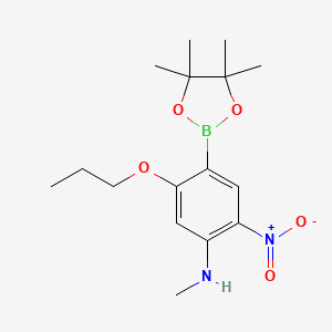 molecular formula C16H25BN2O5 B7957331 N-Methyl-2-nitro-5-propoxy-4-(tetramethyl-1,3,2-dioxaborolan-2-yl)aniline 