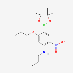 molecular formula C18H29BN2O5 B7957339 2-Nitro-5-propoxy-N-propyl-4-(tetramethyl-1,3,2-dioxaborolan-2-yl)aniline 