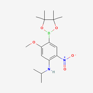 molecular formula C16H25BN2O5 B7957368 N-Isopropyl-5-methoxy-2-nitro-4-(tetramethyl-1,3,2-dioxaborolan-2-yl)aniline 
