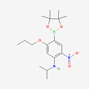molecular formula C18H29BN2O5 B7957410 N-Isopropyl-2-nitro-5-propoxy-4-(tetramethyl-1,3,2-dioxaborolan-2-yl)aniline 