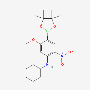 molecular formula C19H29BN2O5 B7957476 N-Cyclohexyl-5-methoxy-2-nitro-4-(tetramethyl-1,3,2-dioxaborolan-2-yl)aniline 
