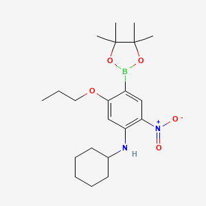molecular formula C21H33BN2O5 B7957486 N-Cyclohexyl-2-nitro-5-propoxy-4-(tetramethyl-1,3,2-dioxaborolan-2-yl)aniline 