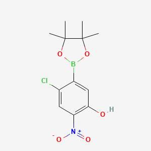 molecular formula C12H15BClNO5 B7957548 4-Chloro-2-nitro-5-(tetramethyl-1,3,2-dioxaborolan-2-yl)phenol 