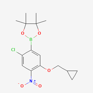 molecular formula C16H21BClNO5 B7957556 2-[2-Chloro-5-(cyclopropylmethoxy)-4-nitrophenyl]-4,4,5,5-tetramethyl-1,3,2-dioxaborolane 