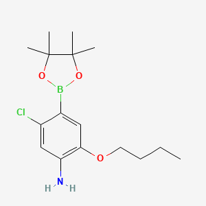molecular formula C16H25BClNO3 B7957602 2-Butoxy-5-chloro-4-(tetramethyl-1,3,2-dioxaborolan-2-yl)aniline 