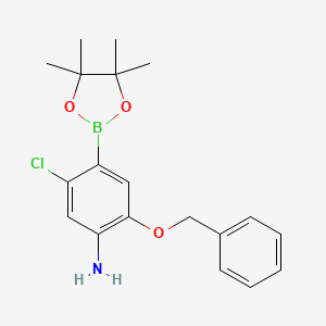 molecular formula C19H23BClNO3 B7957611 2-(Benzyloxy)-5-chloro-4-(tetramethyl-1,3,2-dioxaborolan-2-yl)aniline 