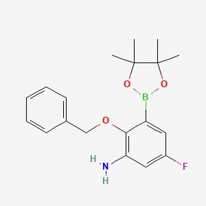 molecular formula C19H23BFNO3 B7957619 2-(Benzyloxy)-5-fluoro-3-(tetramethyl-1,3,2-dioxaborolan-2-yl)aniline 