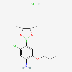 molecular formula C15H24BCl2NO3 B7957631 5-Chloro-2-propoxy-4-(tetramethyl-1,3,2-dioxaborolan-2-yl)aniline hydrochloride 