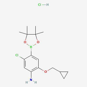 molecular formula C16H24BCl2NO3 B7957634 5-Chloro-2-(cyclopropylmethoxy)-4-(tetramethyl-1,3,2-dioxaborolan-2-yl)aniline hydrochloride 
