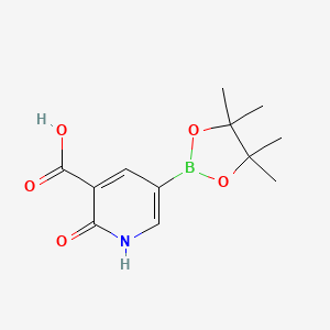 molecular formula C12H16BNO5 B7957758 2-Hydroxy-5-(tetramethyl-1,3,2-dioxaborolan-2-yl)pyridine-3-carboxylic acid 