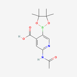 molecular formula C14H19BN2O5 B7957763 2-Acetamido-5-(tetramethyl-1,3,2-dioxaborolan-2-yl)pyridine-4-carboxylic acid 