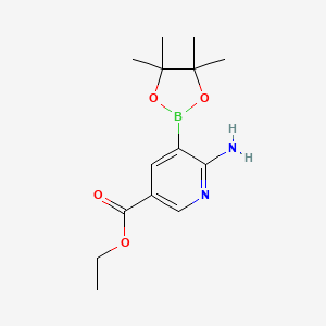 molecular formula C14H21BN2O4 B7957766 Ethyl 6-amino-5-(tetramethyl-1,3,2-dioxaborolan-2-yl)pyridine-3-carboxylate 