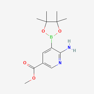 molecular formula C13H19BN2O4 B7957773 Methyl 6-amino-5-(tetramethyl-1,3,2-dioxaborolan-2-yl)pyridine-3-carboxylate 