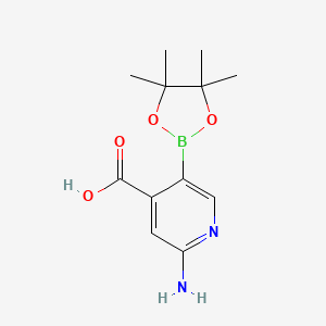 molecular formula C12H17BN2O4 B7957778 2-Amino-5-(tetramethyl-1,3,2-dioxaborolan-2-yl)pyridine-4-carboxylic acid 