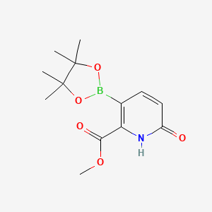 molecular formula C13H18BNO5 B7957790 Methyl 6-hydroxy-3-(tetramethyl-1,3,2-dioxaborolan-2-yl)pyridine-2-carboxylate 