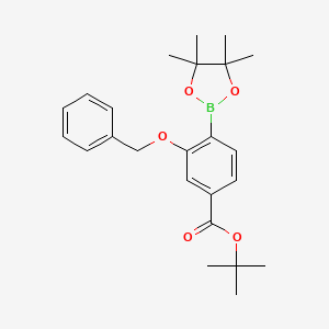 molecular formula C24H31BO5 B7957795 tert-Butyl 3-(benzyloxy)-4-(tetramethyl-1,3,2-dioxaborolan-2-yl)benzoate 
