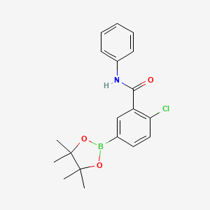 molecular formula C19H21BClNO3 B7957966 2-Chloro-n-phenyl-5-(tetramethyl-1,3,2-dioxaborolan-2-yl)benzamide 