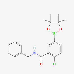 molecular formula C20H23BClNO3 B7957976 N-Benzyl-2-chloro-5-(tetramethyl-1,3,2-dioxaborolan-2-yl)benzamide 