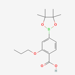 molecular formula C16H23BO5 B7958035 2-Propoxy-4-(tetramethyl-1,3,2-dioxaborolan-2-yl)benzoic acid 