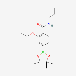 molecular formula C18H28BNO4 B7958070 2-Ethoxy-n-propyl-4-(tetramethyl-1,3,2-dioxaborolan-2-yl)benzamide 