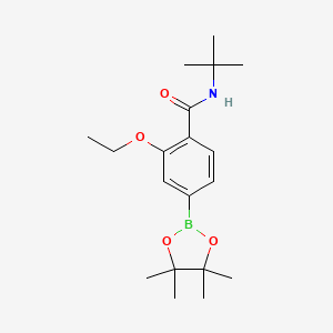 molecular formula C19H30BNO4 B7958077 N-tert-Butyl-2-ethoxy-4-(tetramethyl-1,3,2-dioxaborolan-2-yl)benzamide 