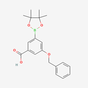 molecular formula C20H23BO5 B7958096 3-(Benzyloxy)-5-(tetramethyl-1,3,2-dioxaborolan-2-yl)benzoic acid 