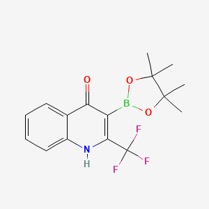 molecular formula C16H17BF3NO3 B7958304 3-(Tetramethyl-1,3,2-dioxaborolan-2-yl)-2-(trifluoromethyl)quinolin-4-ol 