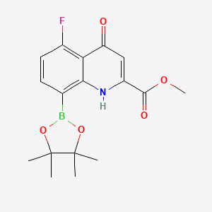 molecular formula C17H19BFNO5 B7958313 Methyl 5-fluoro-4-hydroxy-8-(tetramethyl-1,3,2-dioxaborolan-2-yl)quinoline-2-carboxylate 