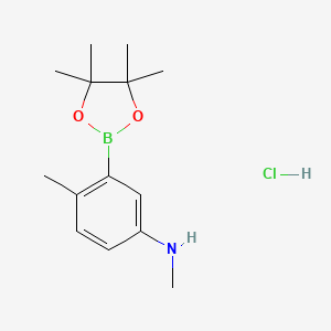 molecular formula C14H23BClNO2 B7958320 N,4-Dimethyl-3-(tetramethyl-1,3,2-dioxaborolan-2-yl)aniline hydrochloride 