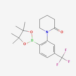 molecular formula C18H23BF3NO3 B7958383 1-[2-(Tetramethyl-1,3,2-dioxaborolan-2-yl)-5-(trifluoromethyl)phenyl]piperidin-2-one 