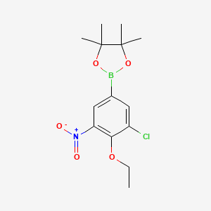 molecular formula C14H19BClNO5 B7958387 2-(3-Chloro-4-ethoxy-5-nitrophenyl)-4,4,5,5-tetramethyl-1,3,2-dioxaborolane 