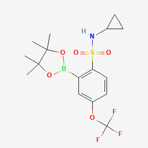 molecular formula C16H21BF3NO5S B7958396 N-Cyclopropyl-2-(tetramethyl-1,3,2-dioxaborolan-2-yl)-4-(trifluoromethoxy)benzenesulfonamide 