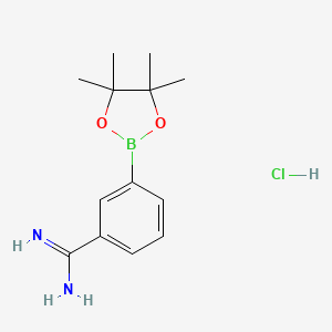 molecular formula C13H20BClN2O2 B7958400 3-(Tetramethyl-1,3,2-dioxaborolan-2-yl)benzenecarboximidamide hydrochloride 