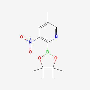 molecular formula C12H17BN2O4 B7958602 5-Methyl-3-nitro-2-(tetramethyl-1,3,2-dioxaborolan-2-yl)pyridine 
