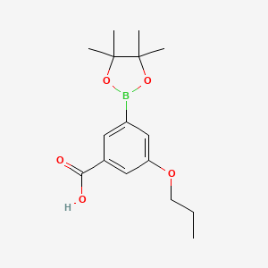 molecular formula C16H23BO5 B7958615 3-Propoxy-5-(tetramethyl-1,3,2-dioxaborolan-2-yl)benzoic acid 