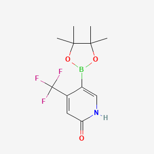 molecular formula C12H15BF3NO3 B7958635 5-(Tetramethyl-1,3,2-dioxaborolan-2-yl)-4-(trifluoromethyl)pyridin-2-ol 
