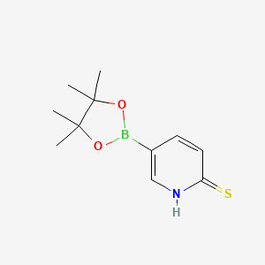 molecular formula C11H16BNO2S B7958641 5-(Tetramethyl-1,3,2-dioxaborolan-2-yl)pyridine-2-thiol 