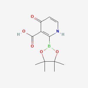 molecular formula C12H16BNO5 B7958647 4-Hydroxy-2-(tetramethyl-1,3,2-dioxaborolan-2-yl)pyridine-3-carboxylic acid 