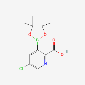 molecular formula C12H15BClNO4 B7958662 5-Chloro-3-(tetramethyl-1,3,2-dioxaborolan-2-yl)pyridine-2-carboxylic acid 
