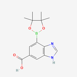 molecular formula C14H17BN2O4 B7958812 7-(Tetramethyl-1,3,2-dioxaborolan-2-yl)-1H-1,3-benzodiazole-5-carboxylic acid 