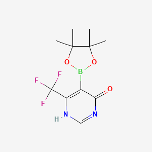 molecular formula C11H14BF3N2O3 B7958934 CID 75487503 