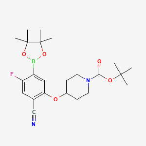 molecular formula C23H32BFN2O5 B7958947 Tert-butyl 4-[2-cyano-4-fluoro-5-(tetramethyl-1,3,2-dioxaborolan-2-YL)phenoxy]piperidine-1-carboxylate 